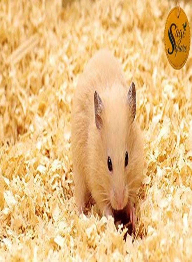 سايج سكوير 150 غرام من نشارة الخشب الطبيعية كفرش للهامستر، والجرذان القزمة، والفئران، والجرذان، والأرانب، وخنازير غينيا - Image 5